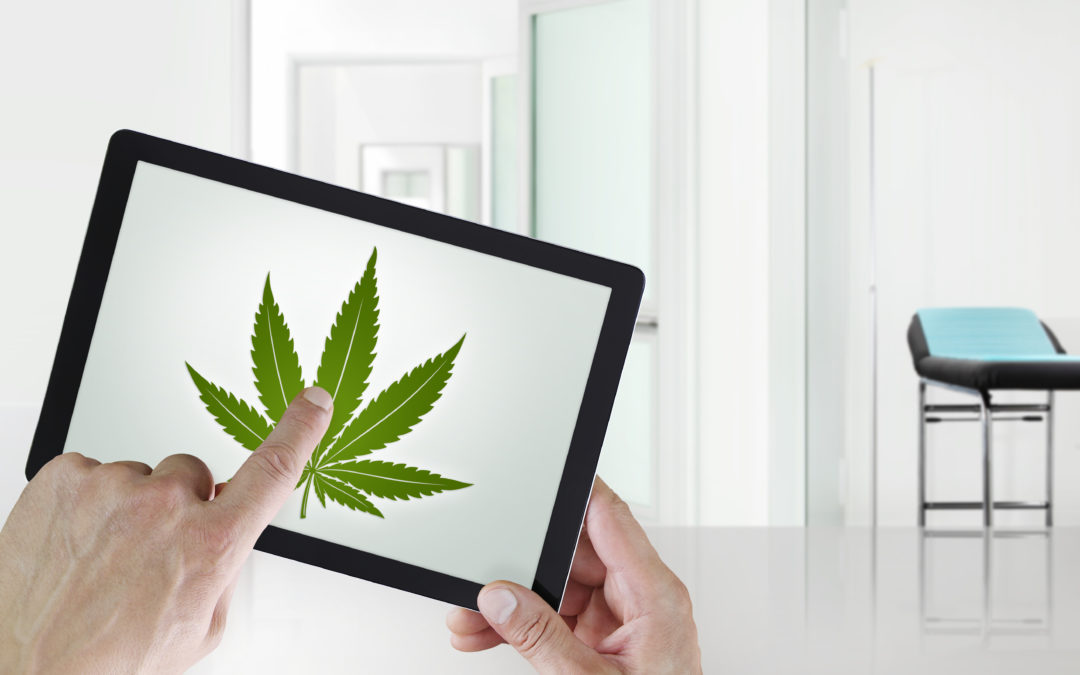 How to Leverage Video to Grow Your Cannabis Business